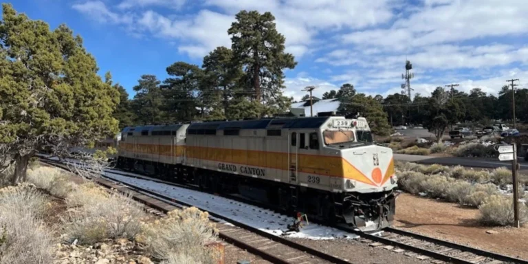 Grand Canyon Train in the National Park on the rail. There are trees and snow around.